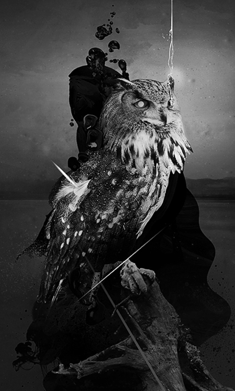 ART FEED: KRYSZTOF DOMARADZI