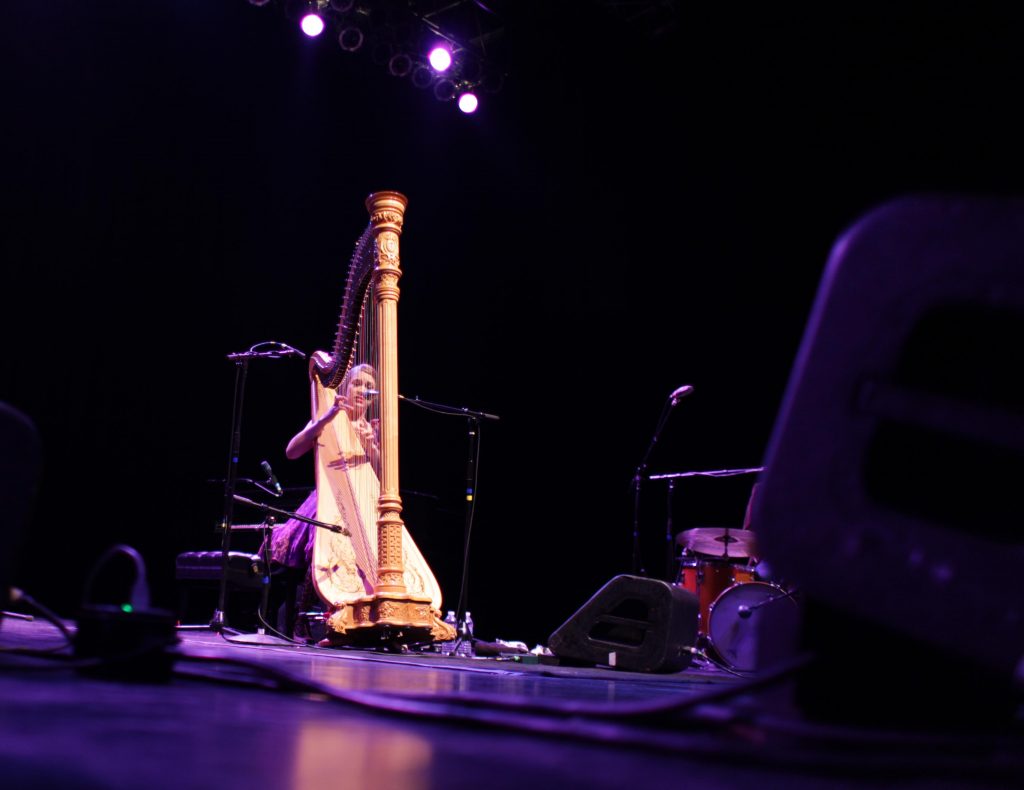 joannanewsom10.jpg
