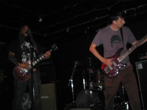 clingingtothetrees00280511.jpg