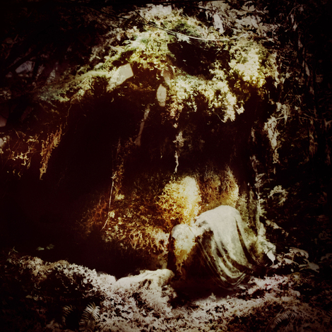 WolvesintheThroneRoom-CelestialLineage.jpg