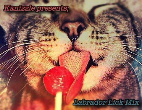 labrador_lick_hdr.jpg