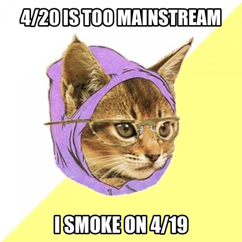 hipcat.png