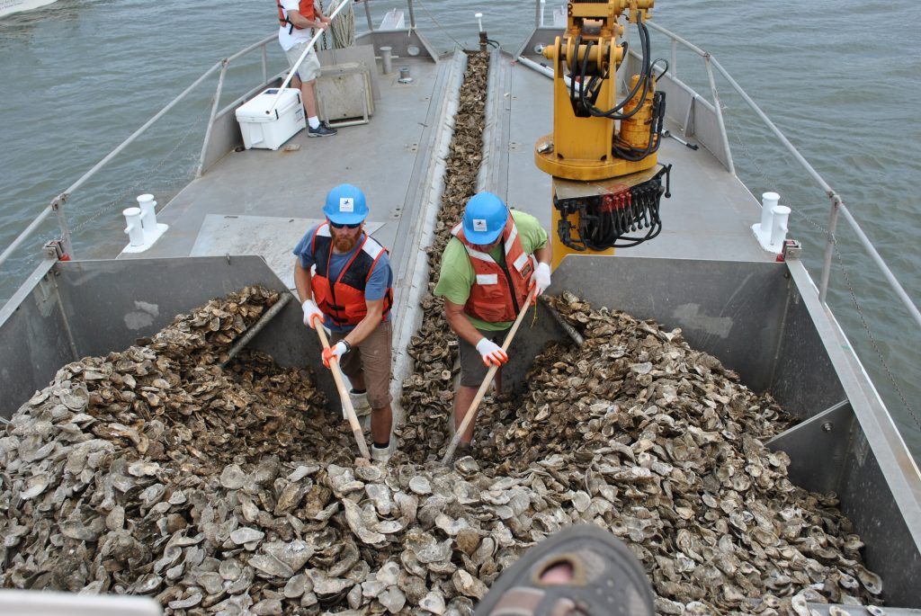 oysterrestorationonthelafayette.jpg
