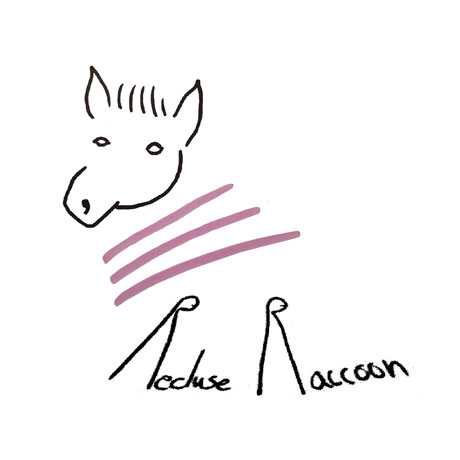 recluse-racoon.jpg