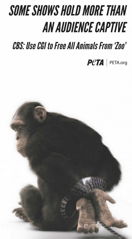 VCU Brandcenter grads create national ad campaign for PETA