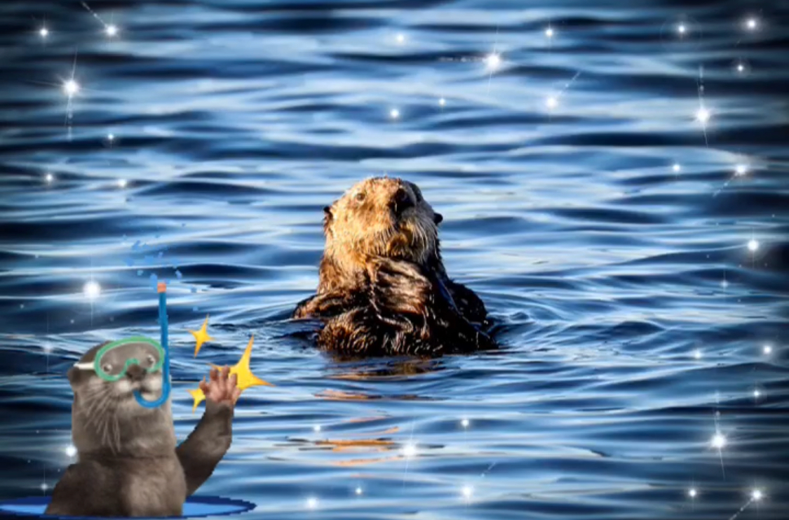 What Week? Sea Otter Week
