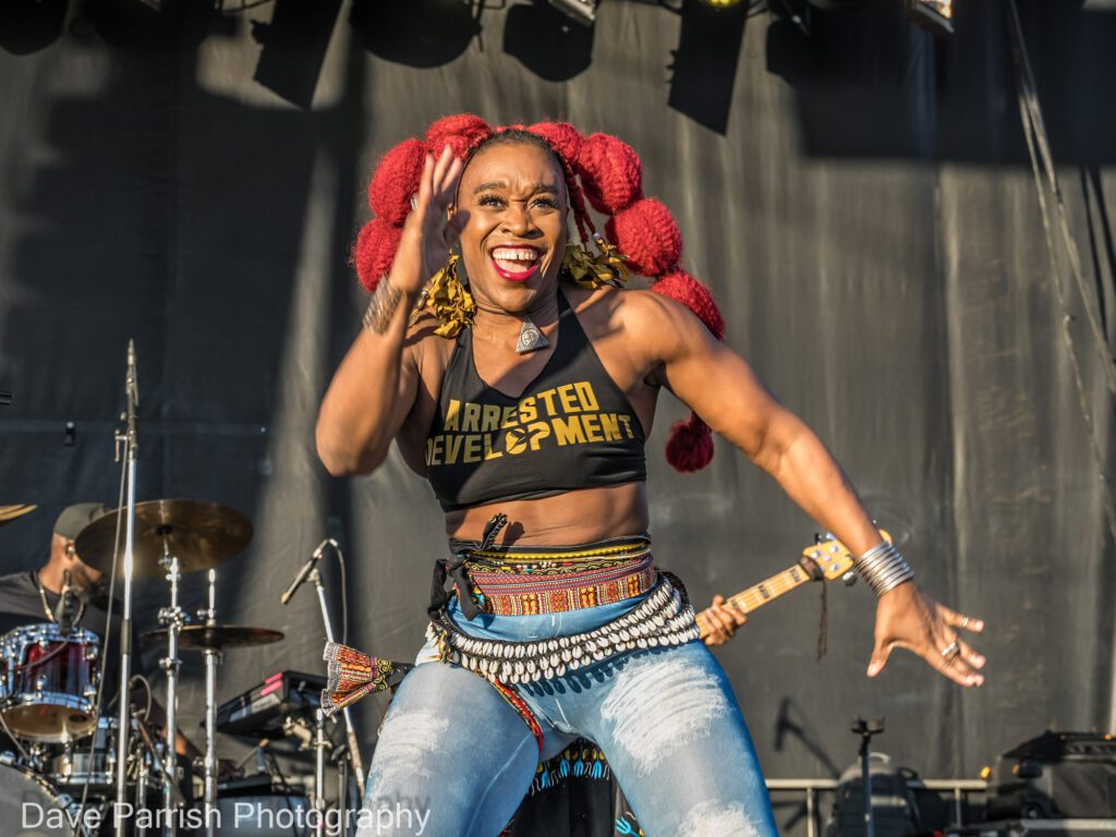 2nd-Street-Festival_photo-by-Dave-Parrish_RVA-Magazine-2024