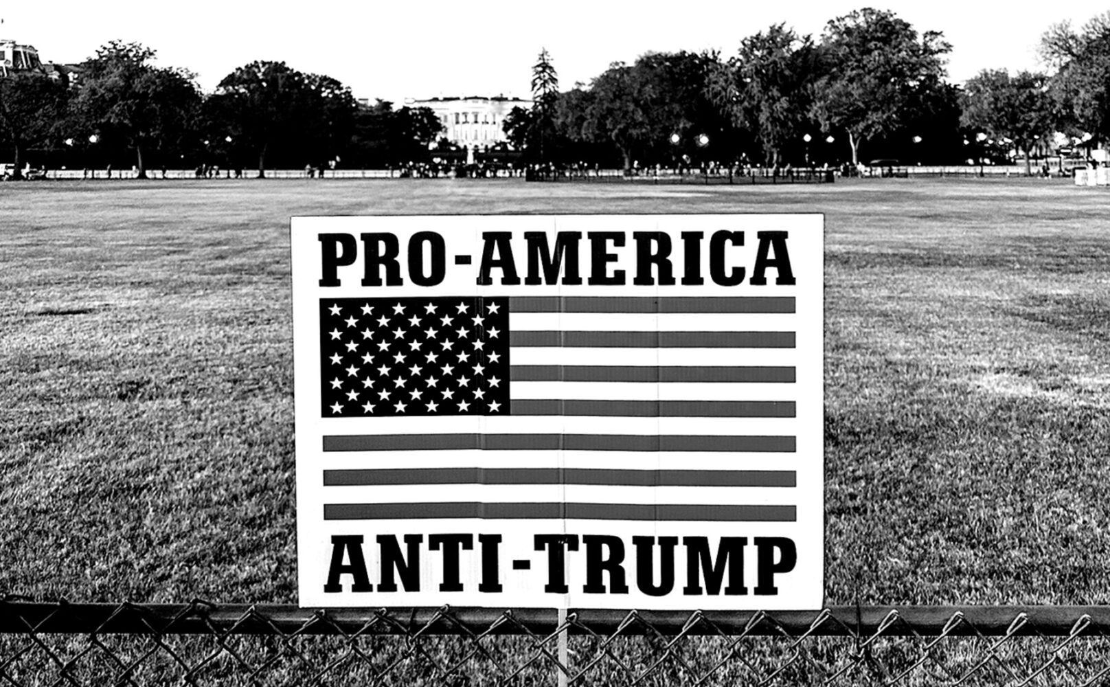 Trump-Election-2024-Commentary-by-Rachel-Scott-Everett_RVA-Magazine-2024