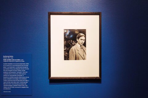 Vmfa Rva Frida: Beyond the Myth at VMFA — Disorienting, Intimate, and Absolutely ...