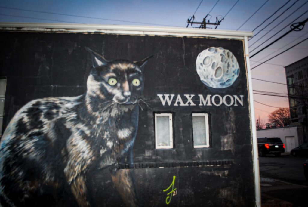 Wax Moon Records and Arcade_Davis Gray Watson_RVA Magazine 2025