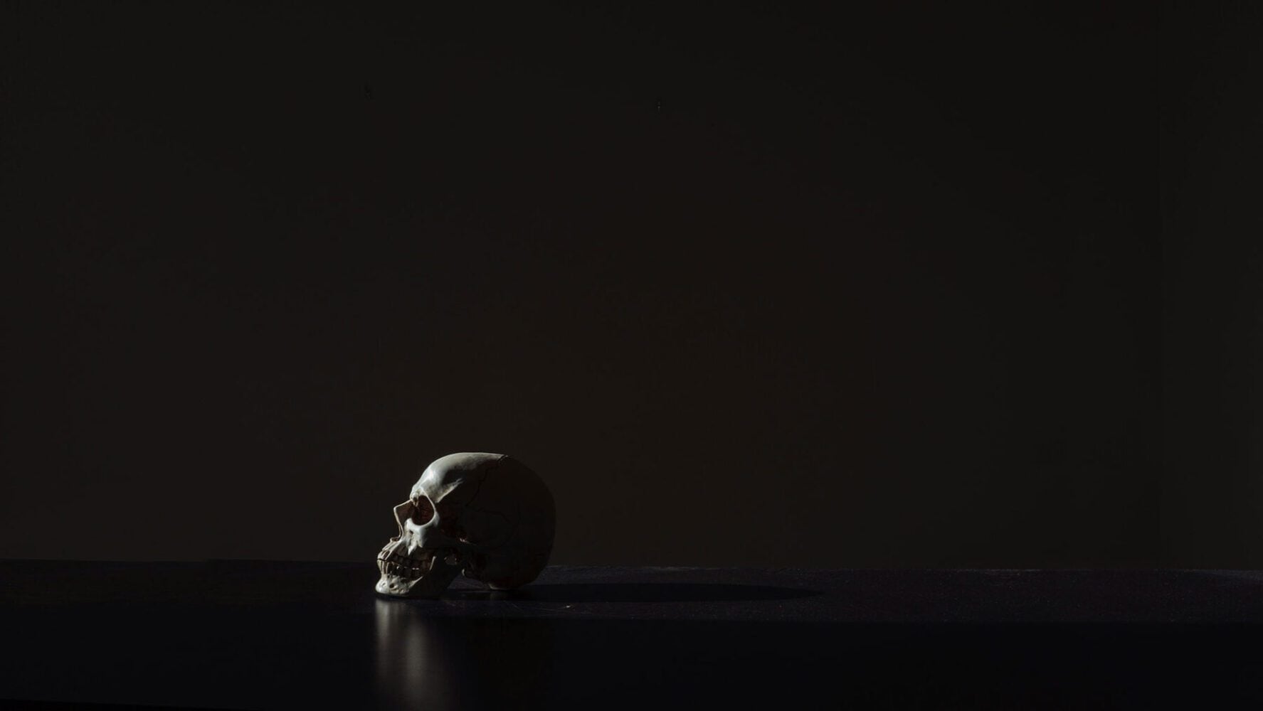 The Politics of Martyrdom by Landon Shroder_photo by Mathew Macquarrie_RVA Magazine 2025