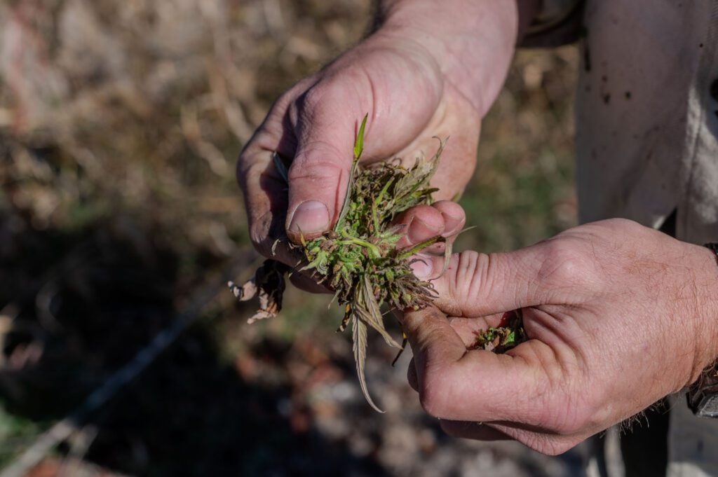 Graham-Redfern_Redfern-Hemp-Co-Virginia-by-R-Anthony-Harris_RVA-Magazine-2025