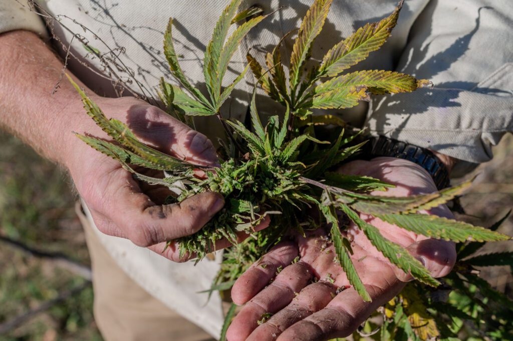 Graham-Redfern_Redfern-Hemp-Co-Virginia-by-R-Anthony-Harris_RVA-Magazine-2025