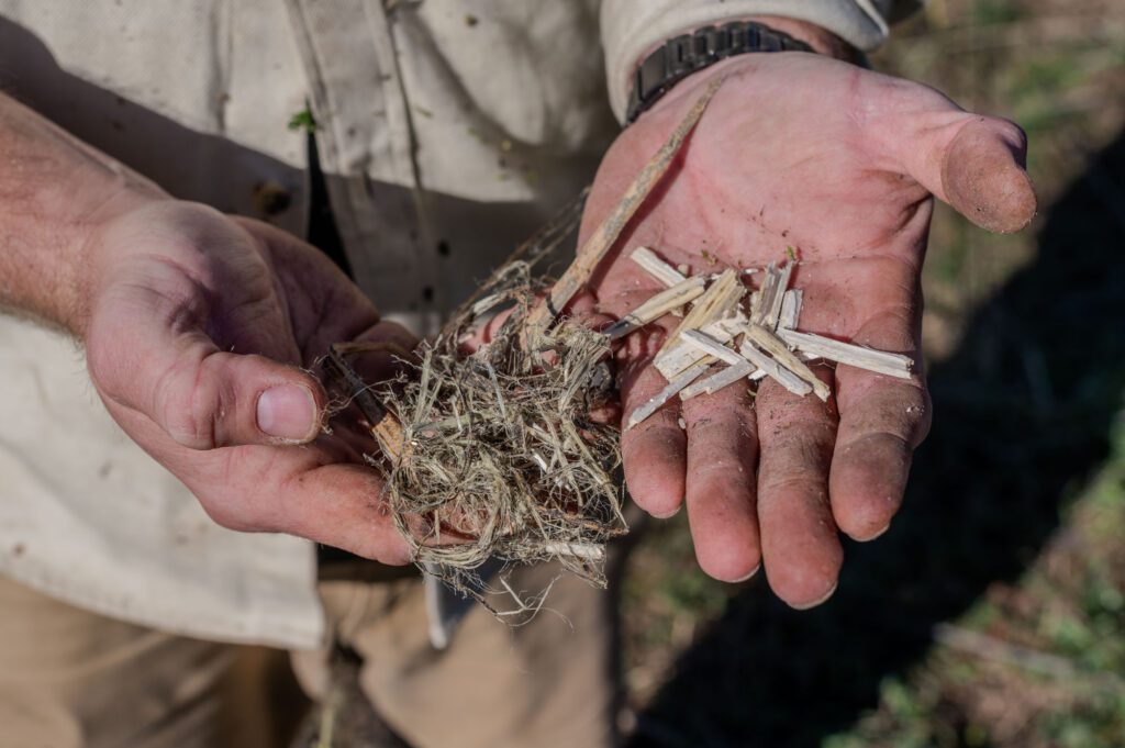 Graham-Redfern_Redfern-Hemp-Co-Virginia-by-R-Anthony-Harris_RVA-Magazine-2025