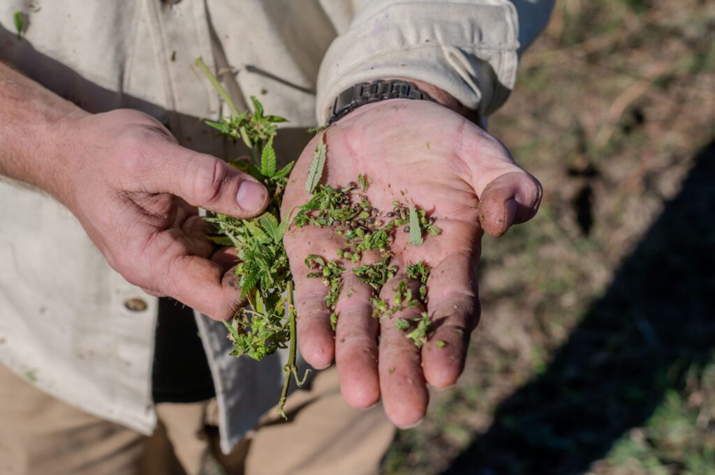 Graham-Redfern_Redfern-Hemp-Co-Virginia-by-R-Anthony-Harris_RVA-Magazine-2025