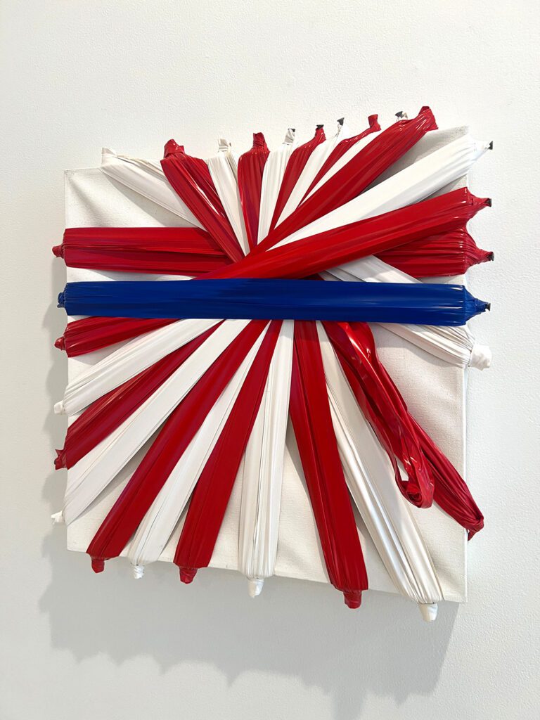 Fall-of-Freedom-art-show_Antennae-Gallery_Ronald_Johnson_RVA-Magazine-2025