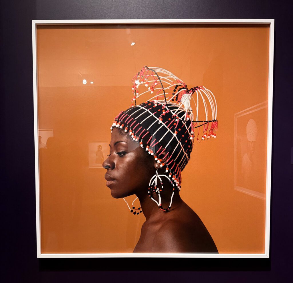 IANTS-Exhibition-VMFA-Review_R-Anthony-Harris_RVA-Magazine-2025