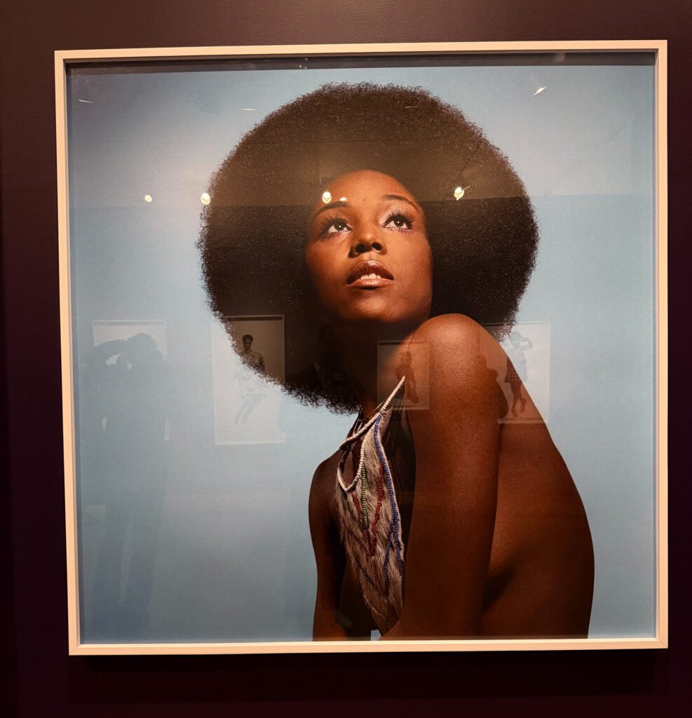 IANTS-Exhibition-VMFA-Review_R-Anthony-Harris_RVA-Magazine-2025