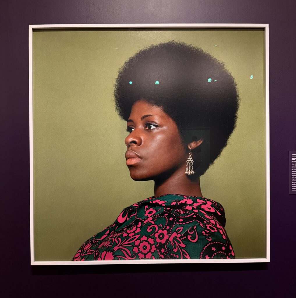 IANTS-Exhibition-VMFA-Review_R-Anthony-Harris_RVA-Magazine-2025