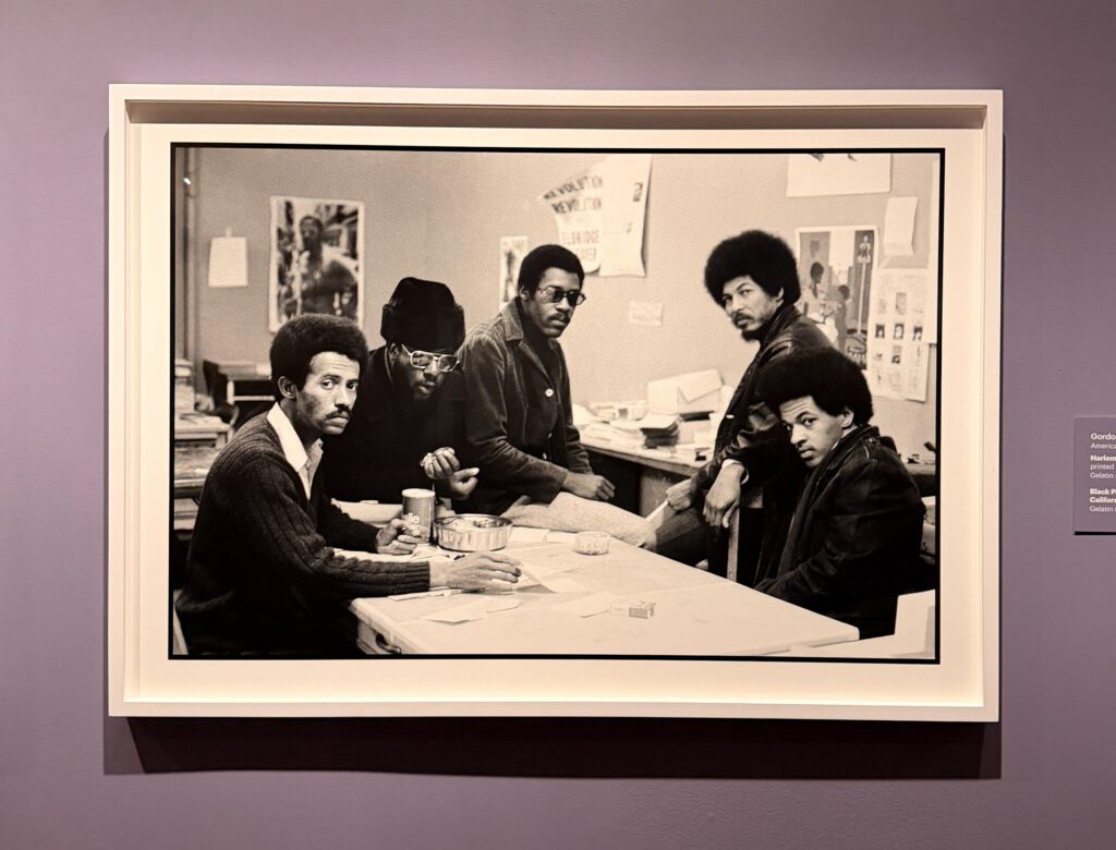 GIANTS-Exhibition-VMFA-Review_R-Anthony-Harris_RVA-Magazine-2025