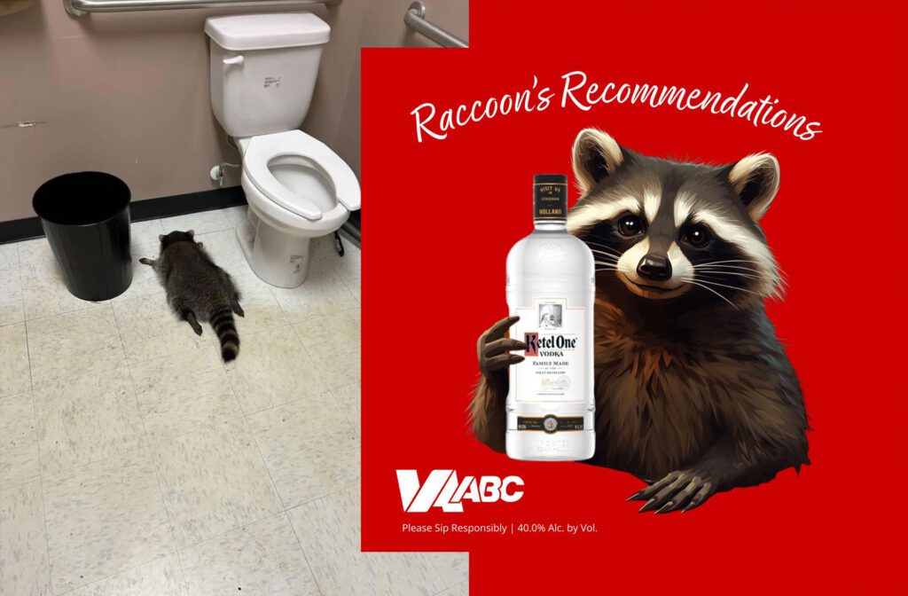 Virginia ABC raccoon story_RVA Magazine 2025