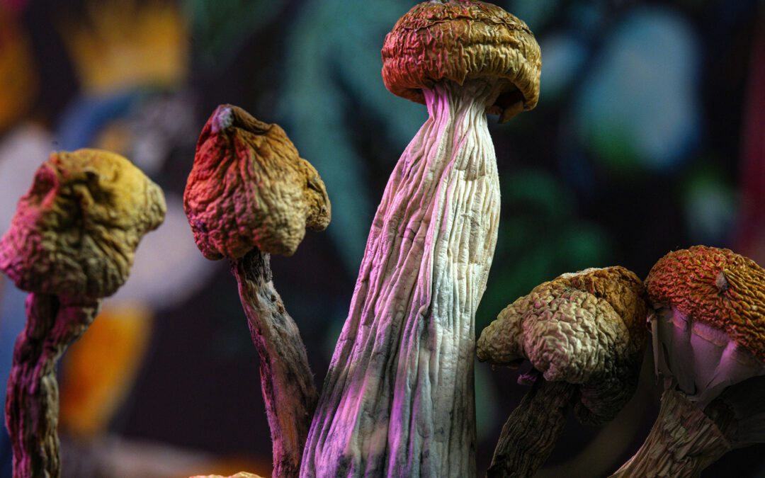 New Bill to Allow Psilocybin Treatment, per FDA Approval