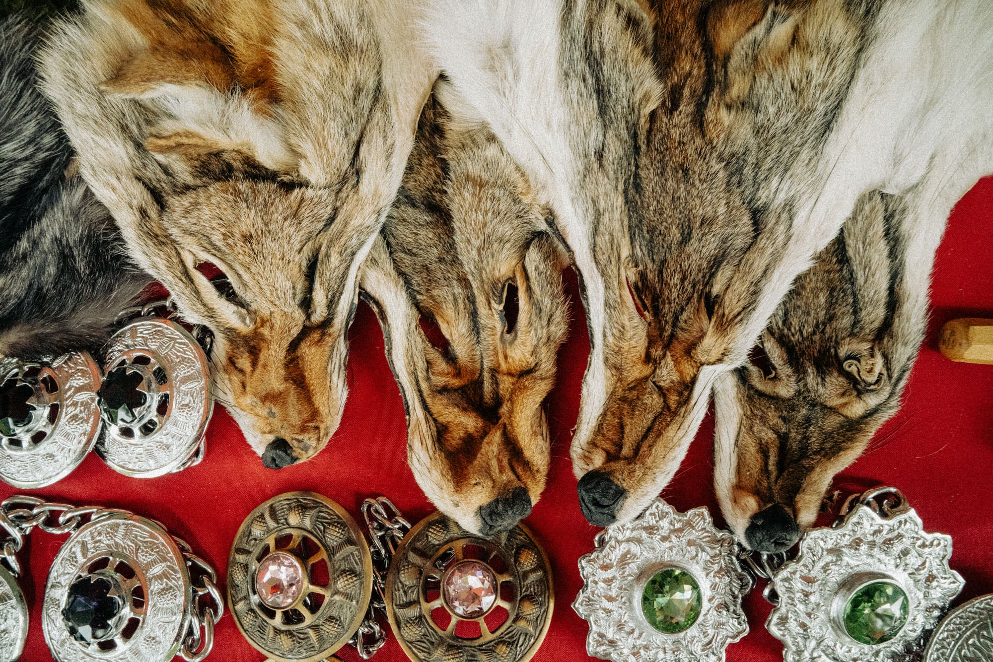 Richmond-Ren-Faire_Warriors-in-Bloom_photo-by-Vincent-Candela_RVA-Magazine-2026