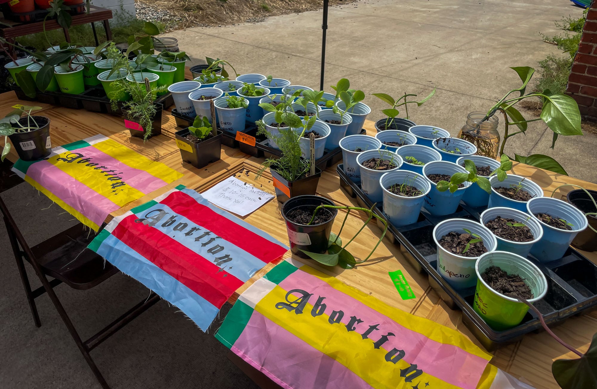 Richmond Reproductive Freedom Project by Brandon Haffner_RVA Magazine 2026