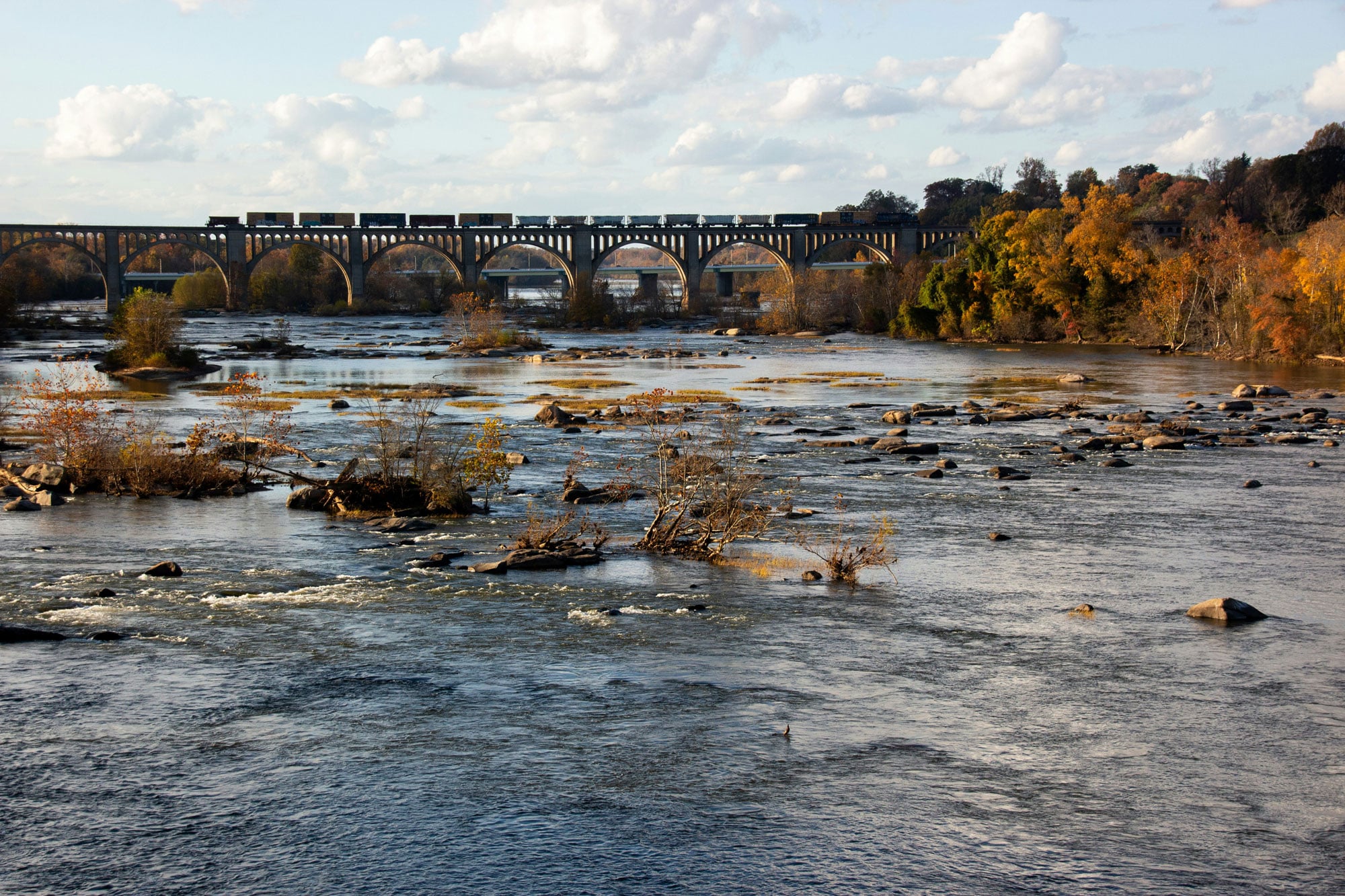Richmond-Thru-Their-Eyes-by-Gabriella-Ryan_photo-Salome-Guruli_RVA-Magazine-2026 Richmond-Thru-Their-Eyes-by-Gabriella-Ryan_photo-Salome-Guruli_RVA-Magazine-2026