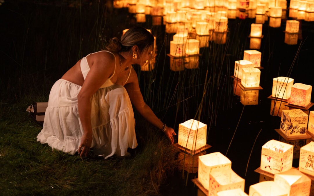 Thousands of Lanterns to Light Up Dorey Park
