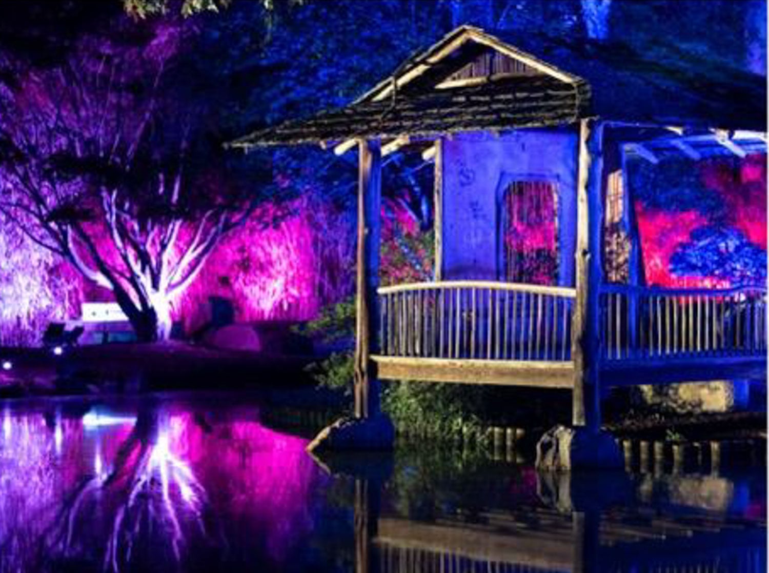 Garden Glow by Geogre Wethington_photo by Matt Freund_RVA Magazine 2026-2