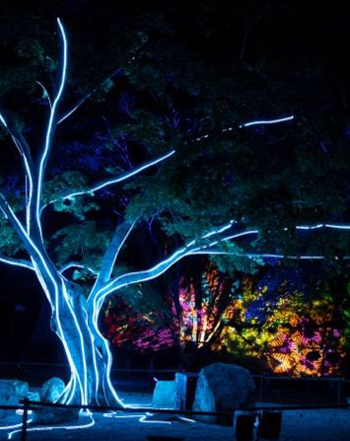 Garden Glow by Geogre Wethington_photo by Matt Freund_RVA Magazine 2026-2