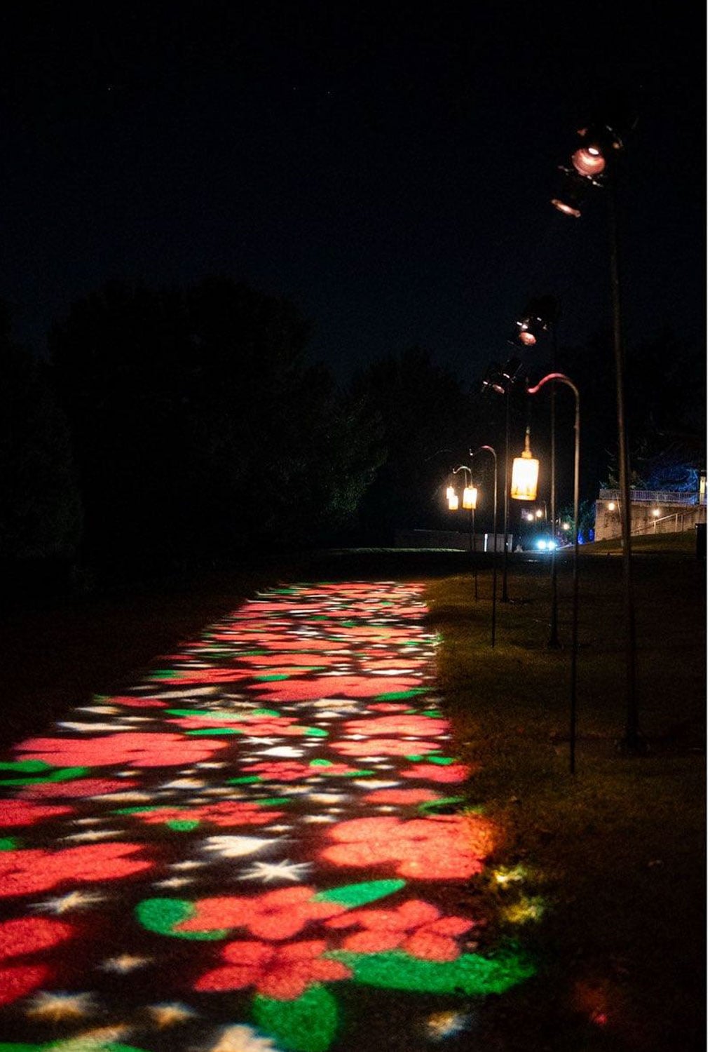 Garden Glow by Geogre Wethington_photo by Matt Freund_RVA Magazine 2026-2