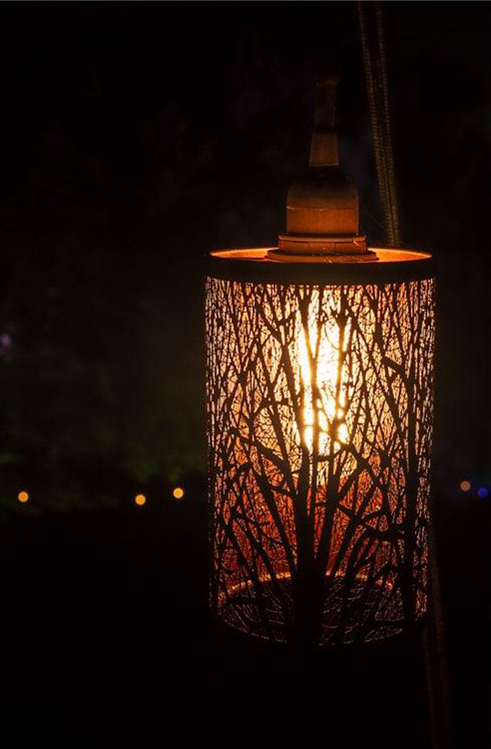 Garden Glow by Geogre Wethington_photo by Matt Freund_RVA Magazine 2026-2
